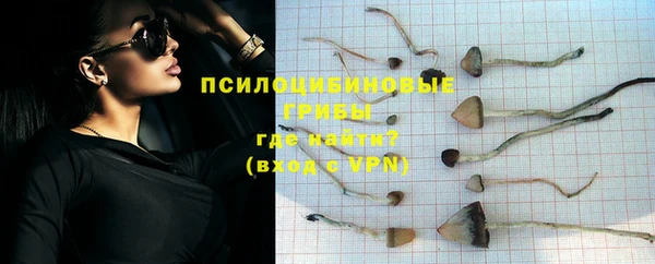 тгк Алексеевка